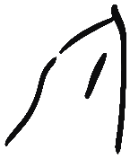 Image of the occurrence